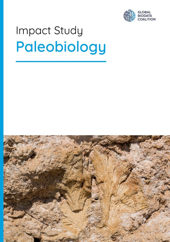 Cover and link for the Paleobiology Impact Study